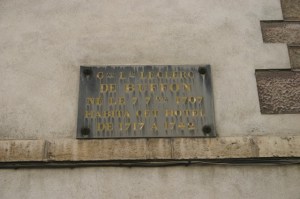 Buffon’s plaque