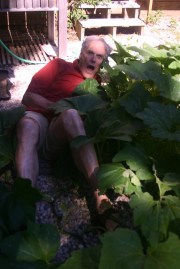 Invasion of the squash