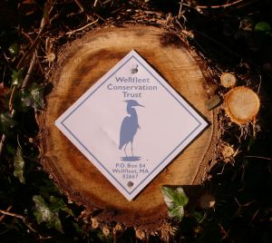 Wellfleet Conservation Trust logo