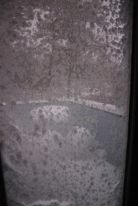 View from our bedroom this morning