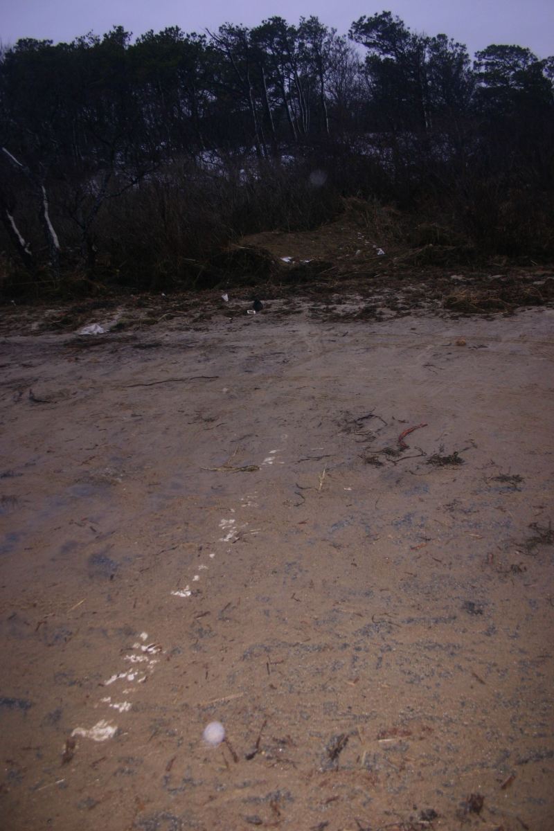Remains of parking lot