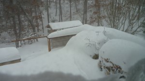 Wood cache and path to woodshed
