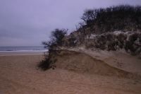 Tide carves new beach