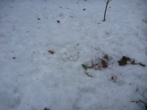 Ripley's defiance of Time the Destroyer