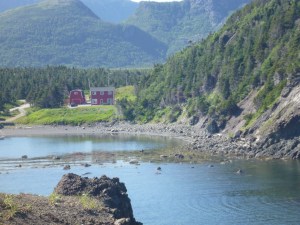 View from the headland