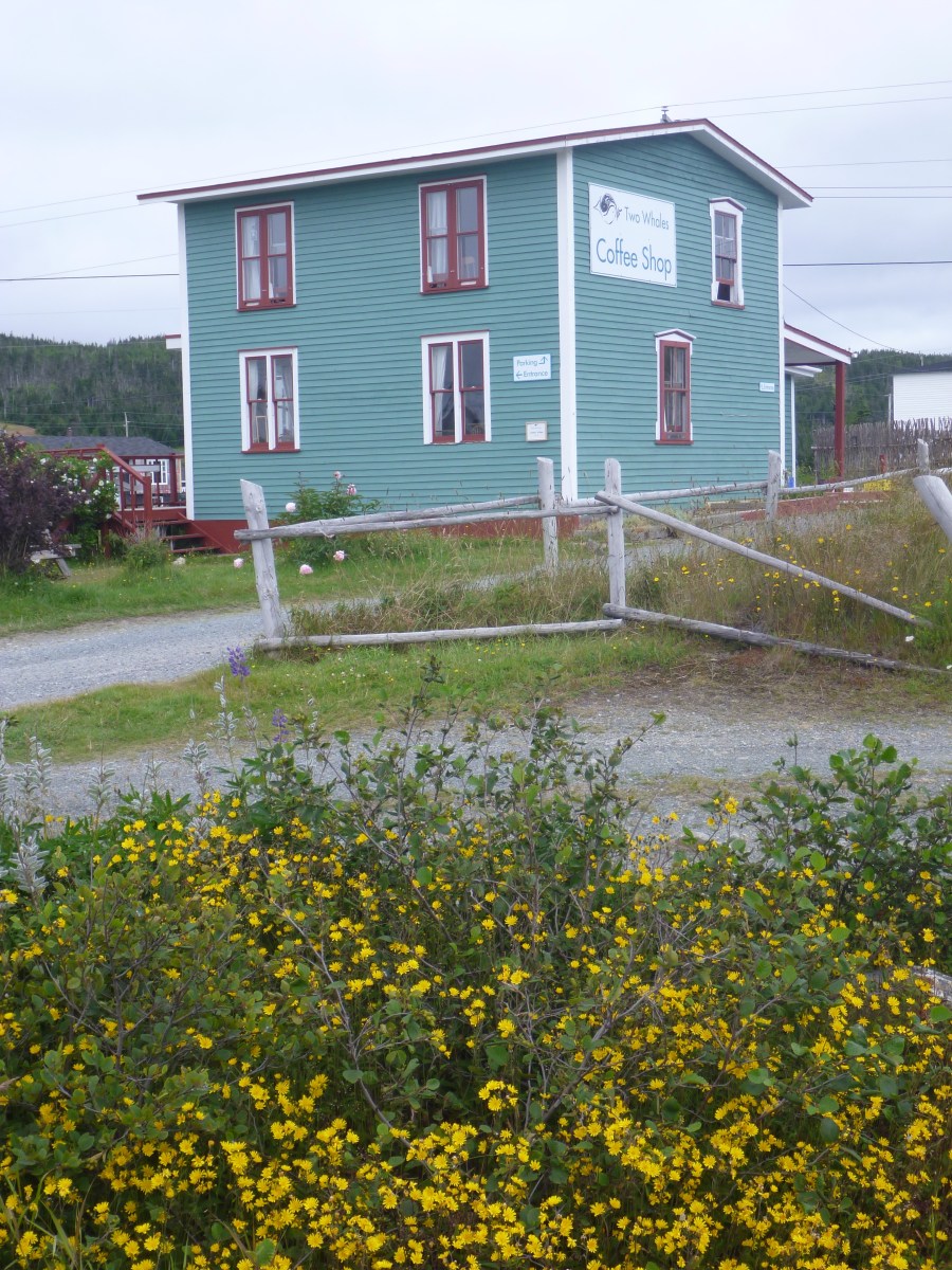 Two Whales coffee shop