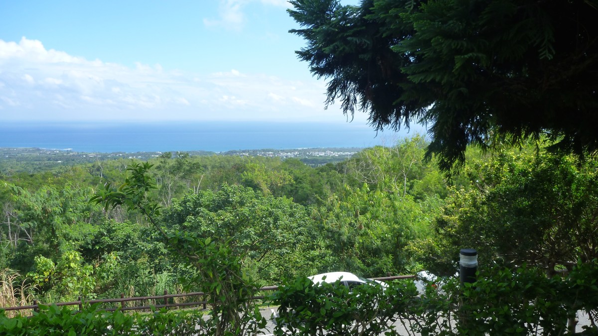 Pacific from Moonlight Inn