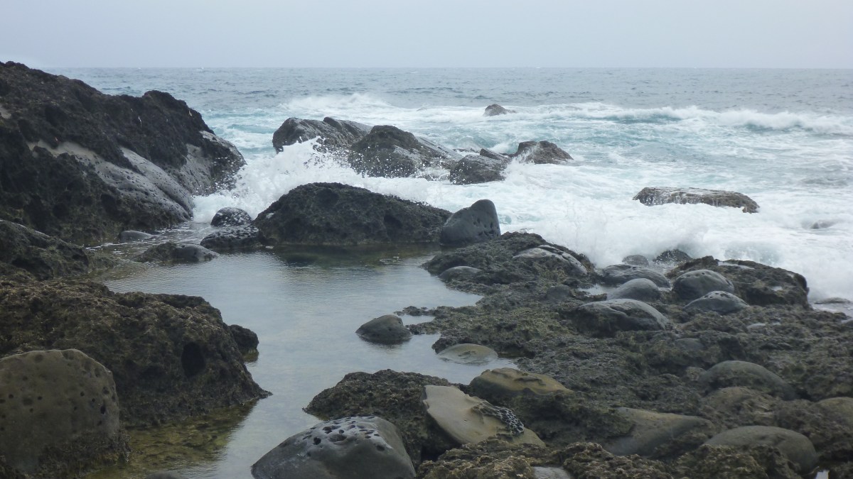 Xiaoyeliu, East Coast National Scenic Area