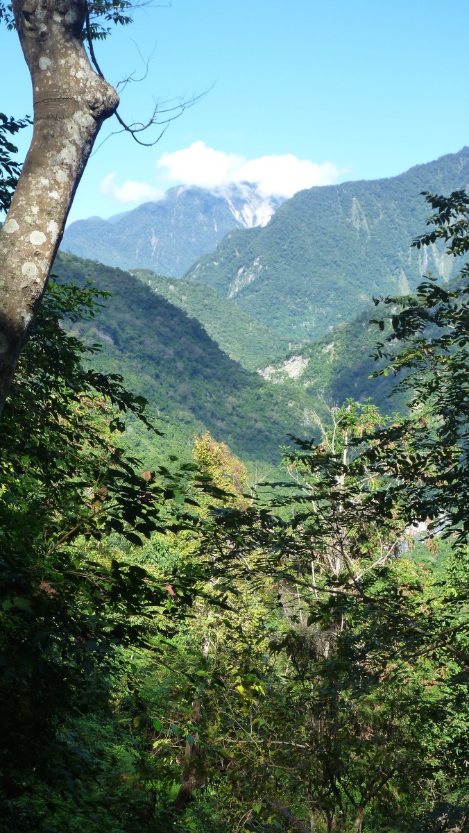 Walami Trail, SE of Yuli in the Nanan section of Yushan National Park
