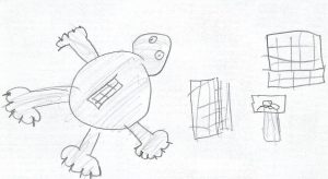 Diamond back terrapin