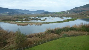 The constructed marshland