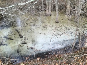 Frozen ephemeral pool