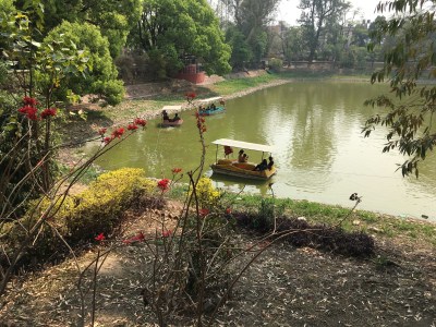 Boating on the central pond