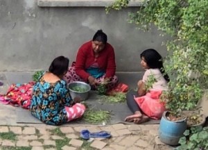 Preparing vegetables