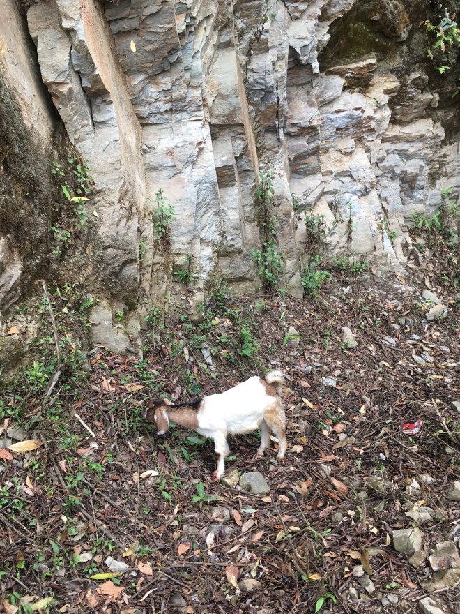 Some guys don't even recognize it's a trek