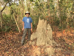 Next to dormant termite mound