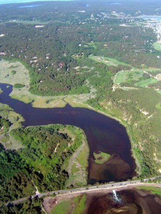 Near mid-point of Wellfleet July 4 Road Race, Herring River Tidal Restoration Project, Cape Cod National Seashore