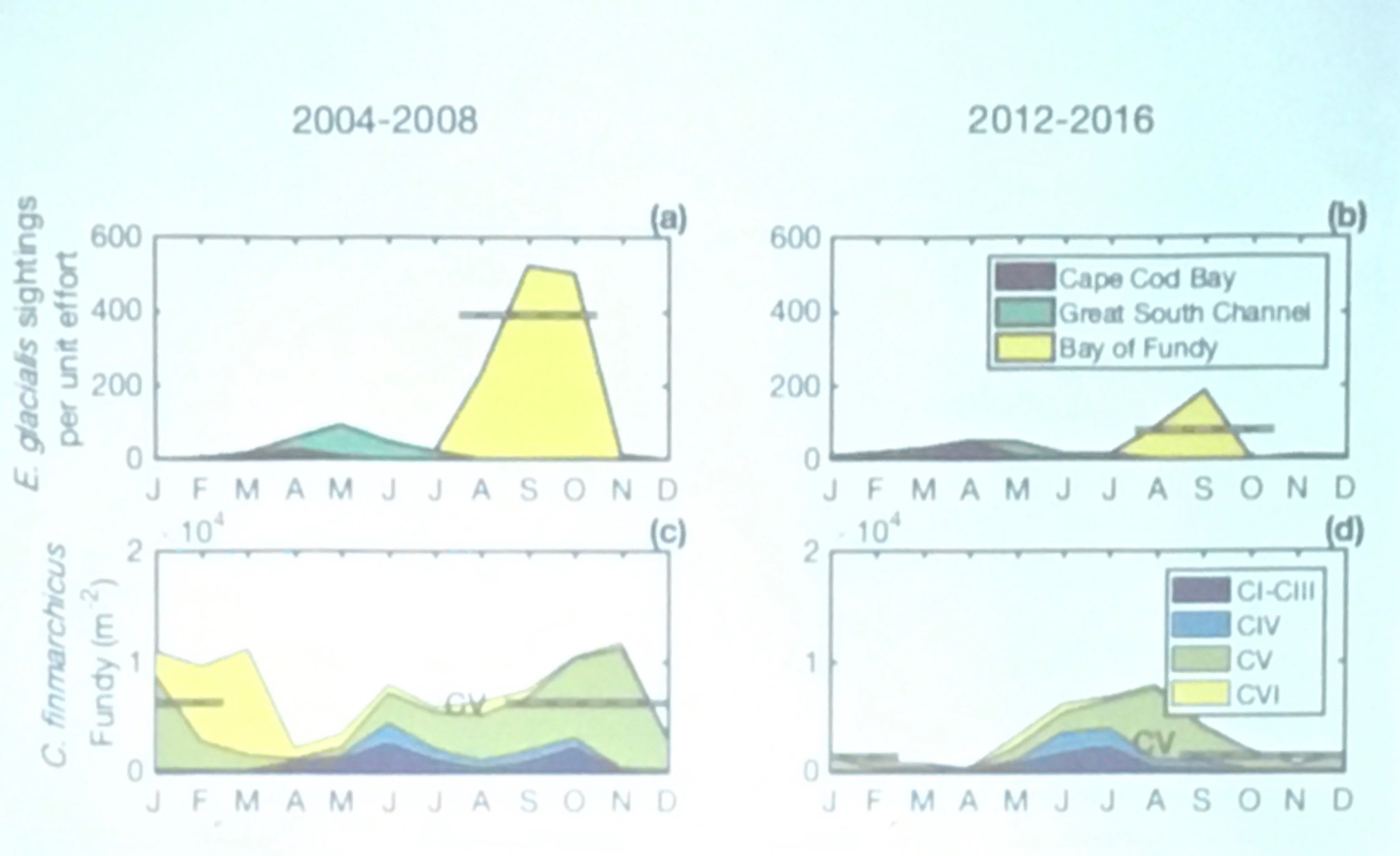 Correlating sightings of right whales with copepod density